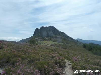 La Tornera ; Pico Porrejón – Sierra de la Puebla;asociaciones de senderismo en madrid tejo árbol